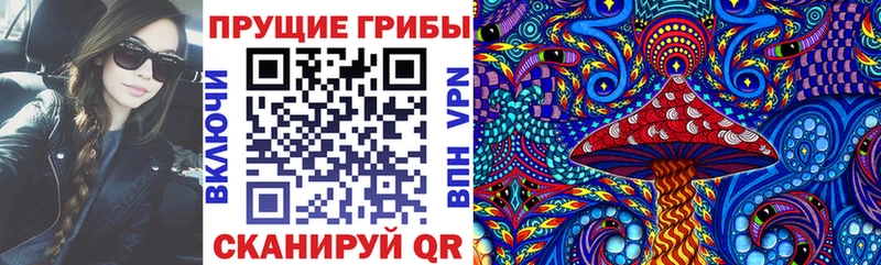 закладки  Ахтырский  Псилоцибиновые грибы мицелий 